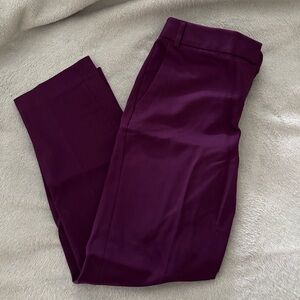 Plum express editor pants